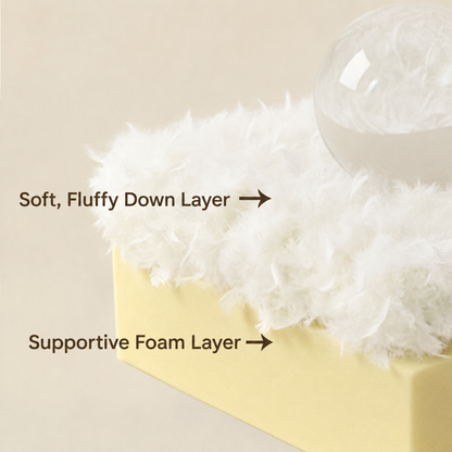 sofabed-fsx-8636